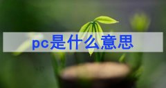 pc是什么意思（網(wǎng)絡(luò)用語(yǔ)）